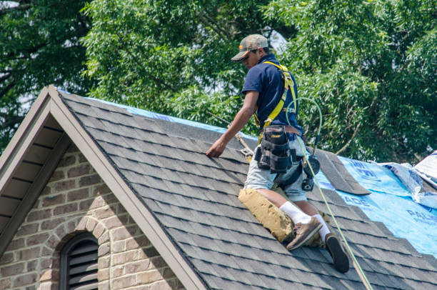 Best Roof Leak Repair  in Millbrae, CA
